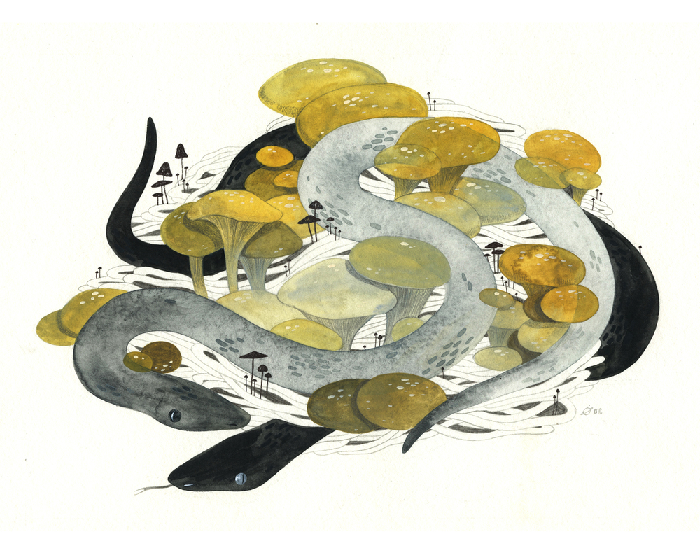 maggie-chiang-illustration-06