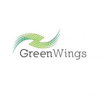 Sold – Green Wings Logo & Stationary Template