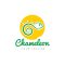 Chameleon-Logo-Template