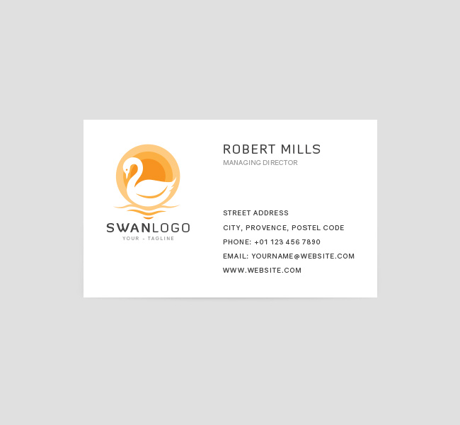 073-The-Swan-Logo-&-Business-Card-Template-Front