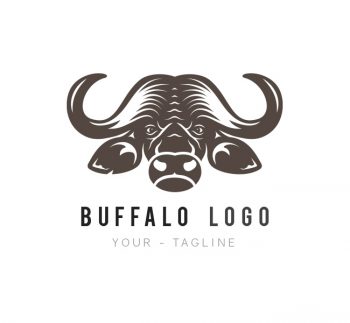Buffalo Logo & Business Card Template