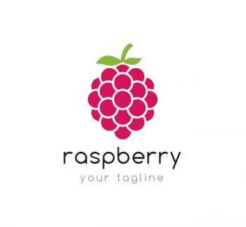 Raspberry Logo & Business Card Template