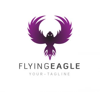 Flying Eagle Logo & Business Card Template