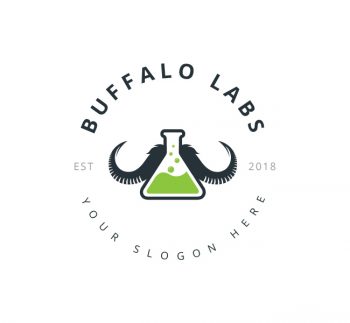 Buffalo Labs Logo & Business Card Template
