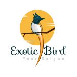 Exotic-Bird-Logo