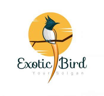 Exotic Bird Logo & Business Card Template