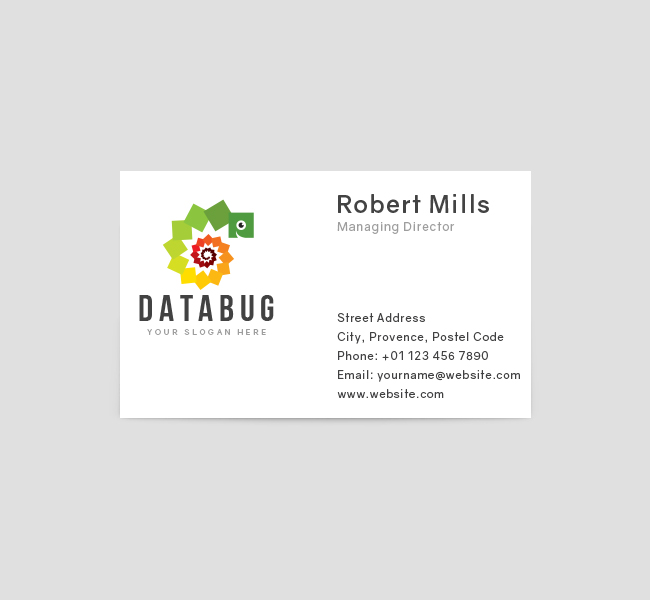 Data-Bug-Business-Card-Front