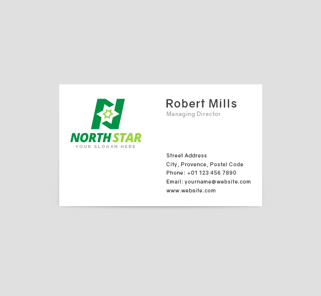 North-Star-Business-Card-Front
