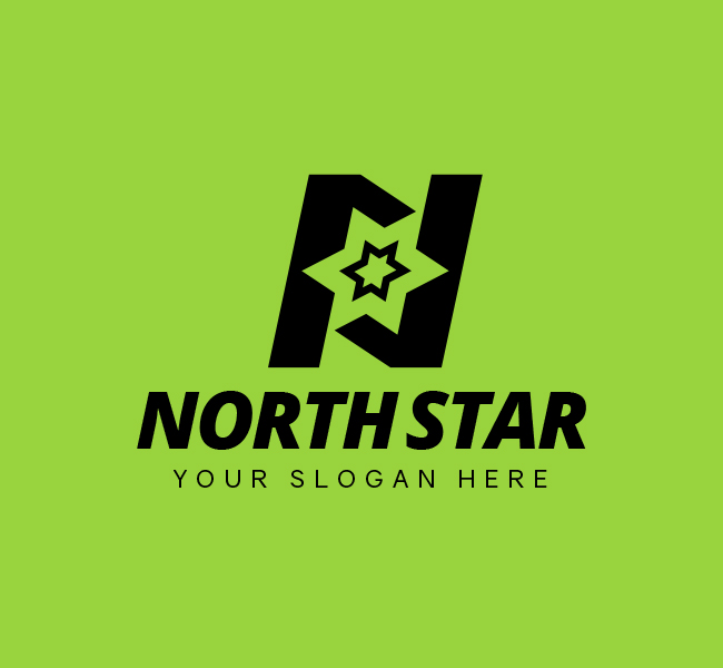 North-Star-Stock-Logo