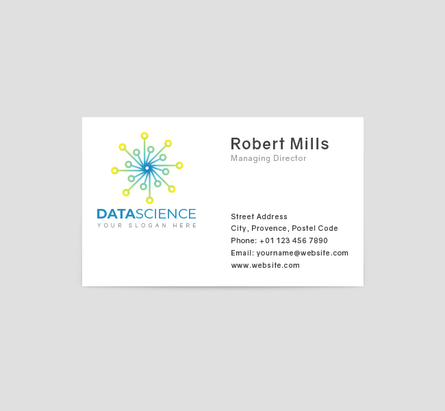 487-Sinple-Data-Science-Business-Card-Front