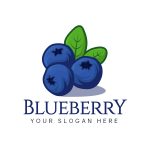 Blueberry-Logo