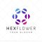 Hex Flower Logo