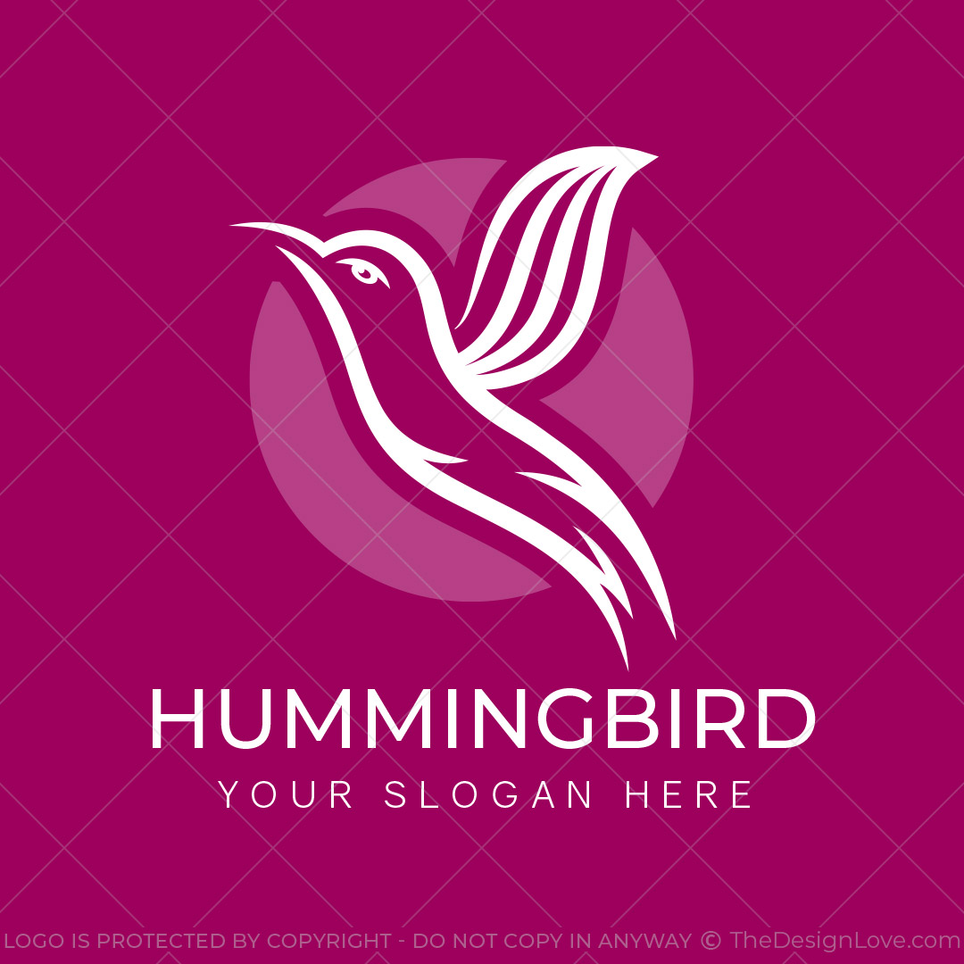 721-Hummingbird-Pre-Designed-Logo-1a