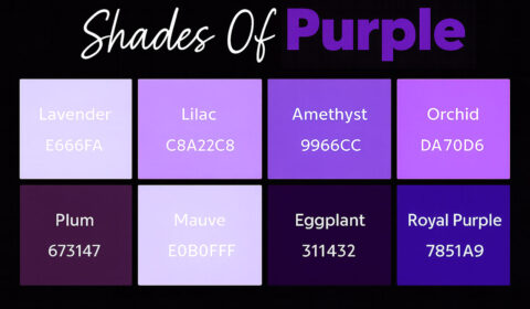 Shades-of-Purple-01