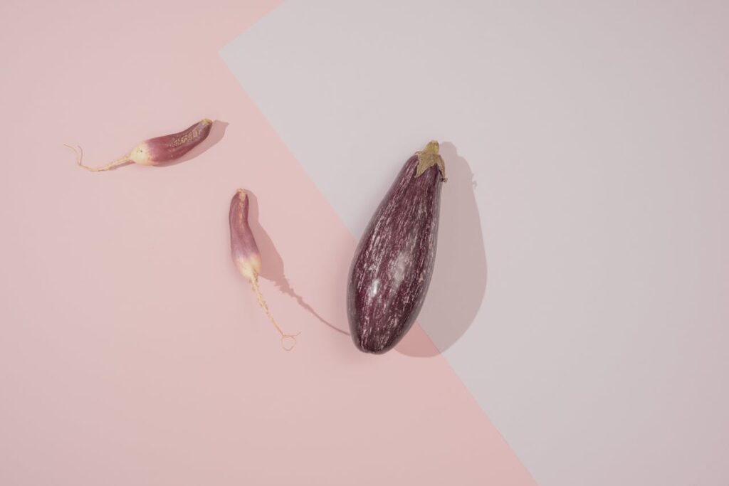 Shades of Purple Eggplant
