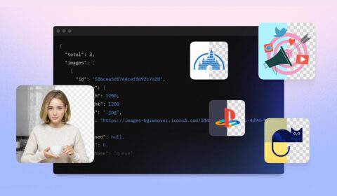 Moving-Beyond-Static-Bundles--A-Look-at-the-Icons8-API-01