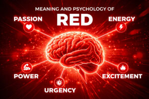 Shades of Red: 50+ Red Color Names, Hex Codes, Meanings and Design Uses
