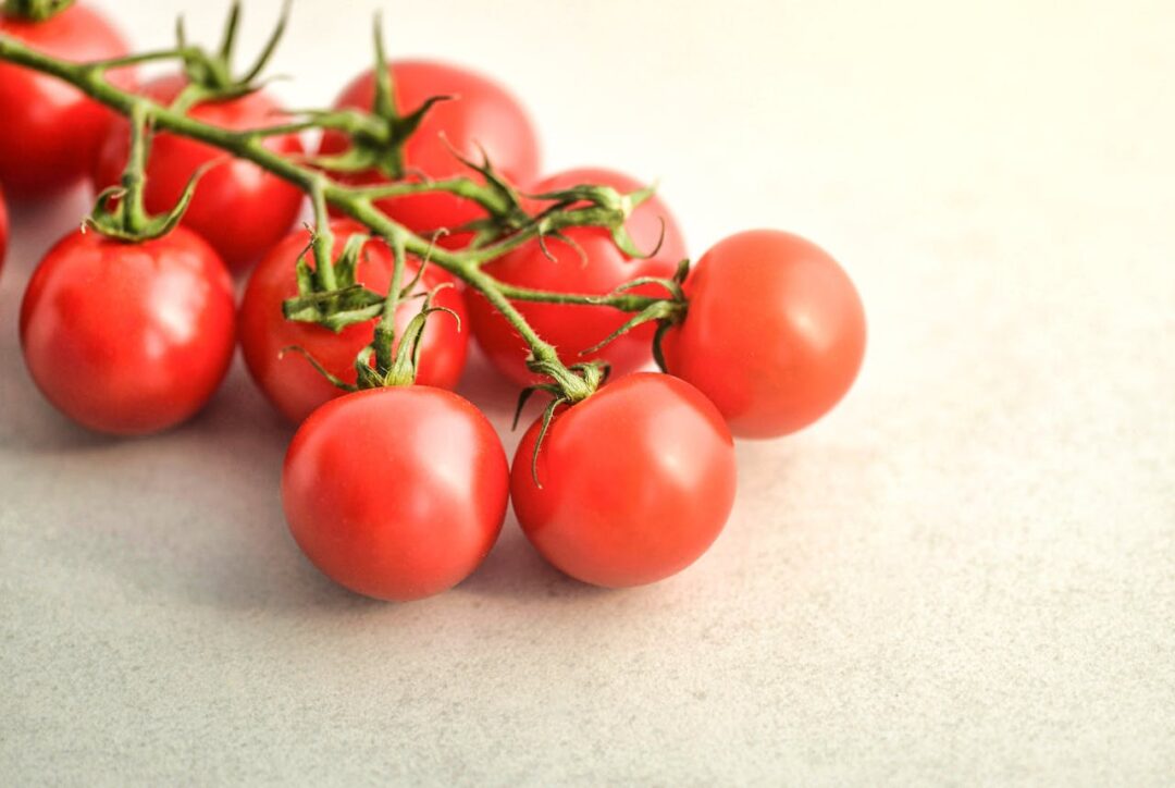Shades of Red: 50+ Red Color Names, Hex Codes, Meanings and Design Uses